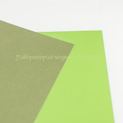 Creativ Лаймово-зеленый/Темно-зеленый. Кардсток текстурированный, 1 шт