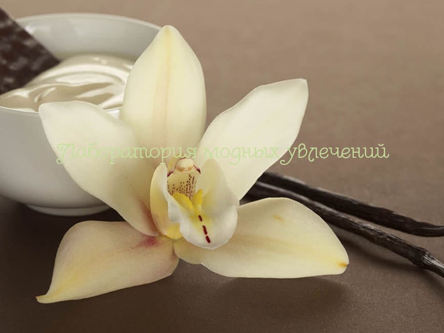 Косметическая отдушка Ваниль молочная, 10 мл