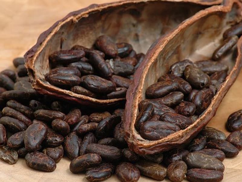 Масло какао, нерафинированное, 100 г