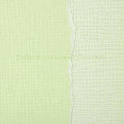 GX-GG010 Светло-зеленый. Кардсток текстурированный с внутренним слоем, 1 лист (уценка)