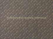 Бумага упаковочная крафт Надписи, 50х70 см