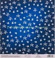 Звездное небо. Бумага для скрапбукинга с клееевым слоем, 20х21.5 см, 250 г/м2