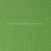 SCB172312058 Ярко-зеленый. Кардсток текстурированный, 1 лист